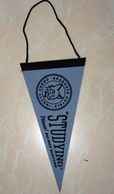 Best 150D Polyester Advertising Sports Pennant Flag Triangle Shape wholesale