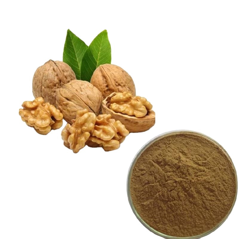China Black Walnut Extract Walnut Shell Powder Brown Yellow color on sale