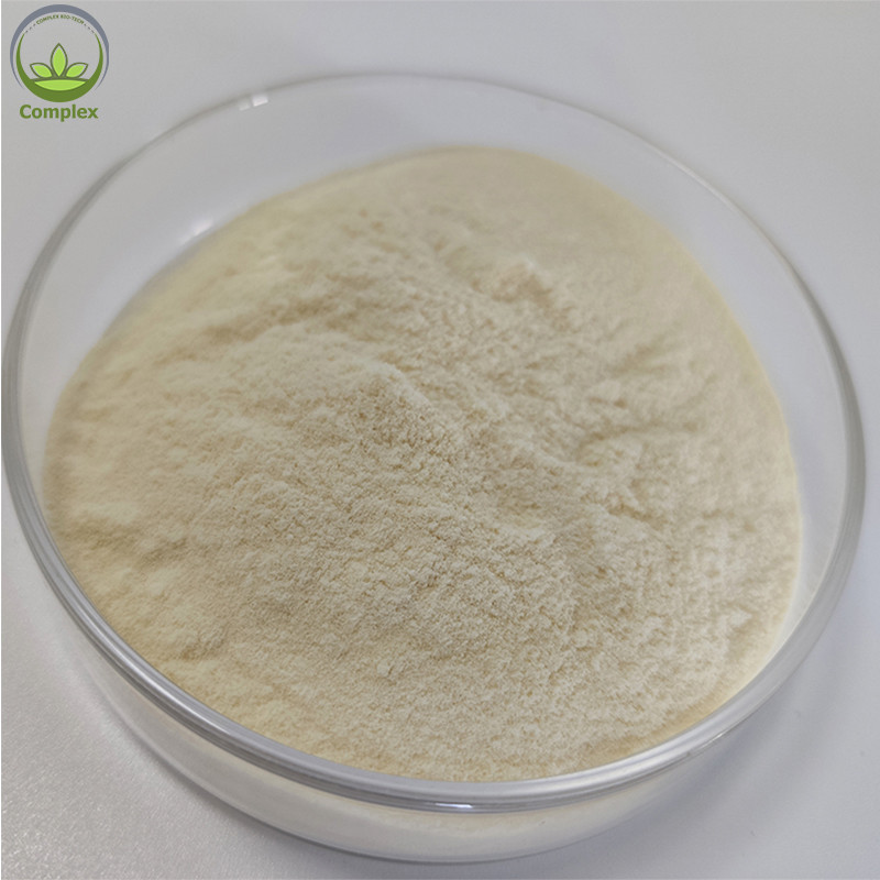 China Wholesale whey isolate protein powder 100% Whey protein powder bulk on sale