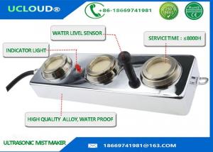 China Mushroom Farming Waterproof Ultrasonic Mister Fogger With Water Level Sensor on sale