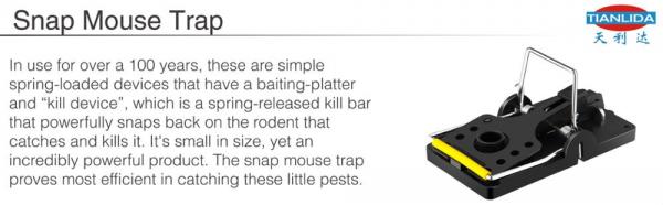 Snap Mouse Trap Flat