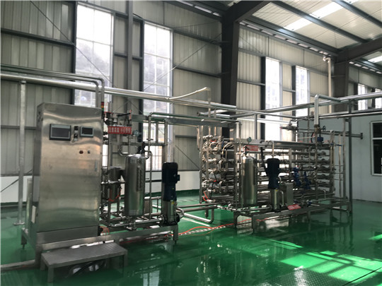 Glass Bottle Package Tomato Processing Line Ketchup Processing Plant