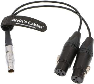 China Alvin'S Cables XLR Breakout Audio Input Cable For Atomos Shogun Monitor Recorder 10 Pin To Dual XLR 3 Pin Female on sale