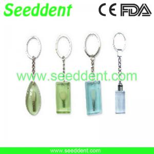 Best Implant pendant key chain I to IV wholesale