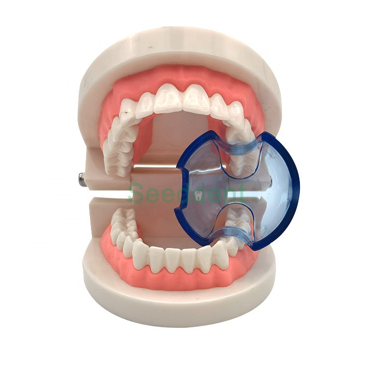 Best 2021 New Dental Supply Plastic Disposable Lip Opener Intraoral Orthodontic Cheek Retractor Mouth Opener SE-U027/SE-U028 wholesale