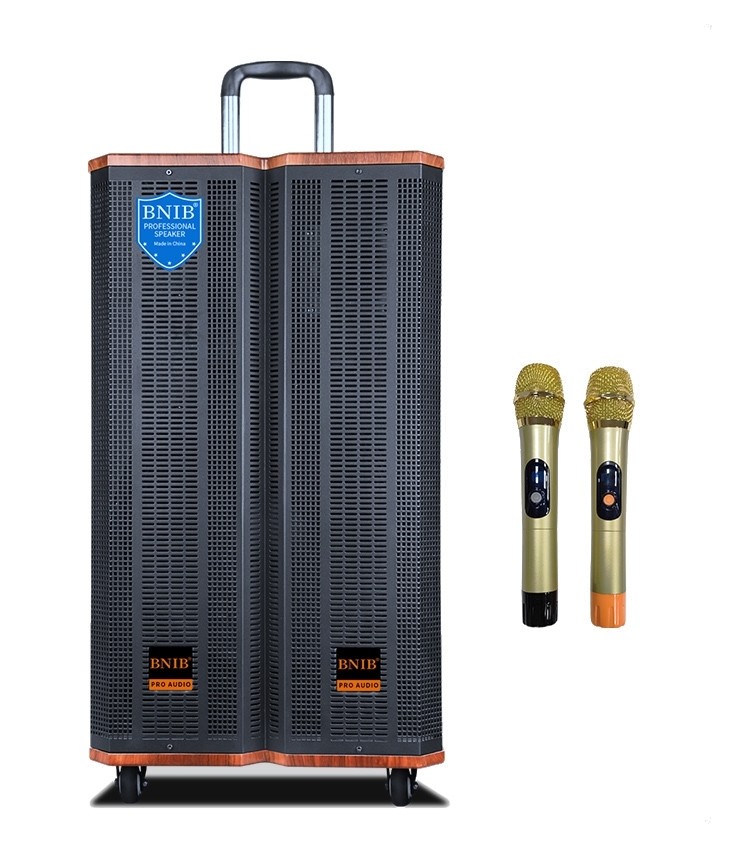 China ODM OEM Wooden Outdoor Active Speakers Karaoke Speaker Sound System on sale
