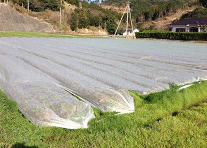 China Non Woven Ground Cover Agriculture Non Woven Fabric Prevent Weeds From Ruining Landscape on sale