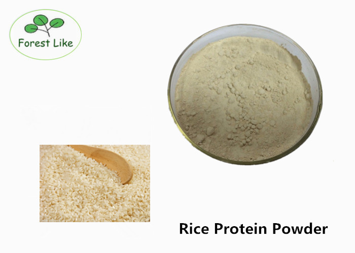 China Food Grade Rice Pure Plant Based Protein Powder 50% for Beverage on sale