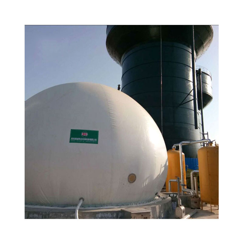 China Completely Mixed Anaerobic Reactor Anaerobic Digestion Plant on sale