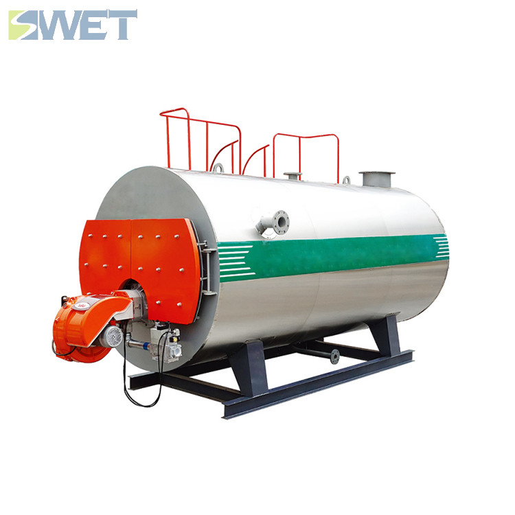 China Factory Customized Fully Automatic CWNS Gas Hot Water Boiler on sale