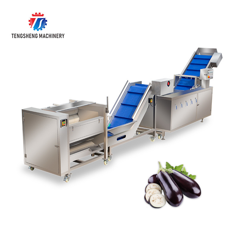 Multifunctional Vegetable And Fruit Processing Line Hair Roller Bubble Cleaning Production Line