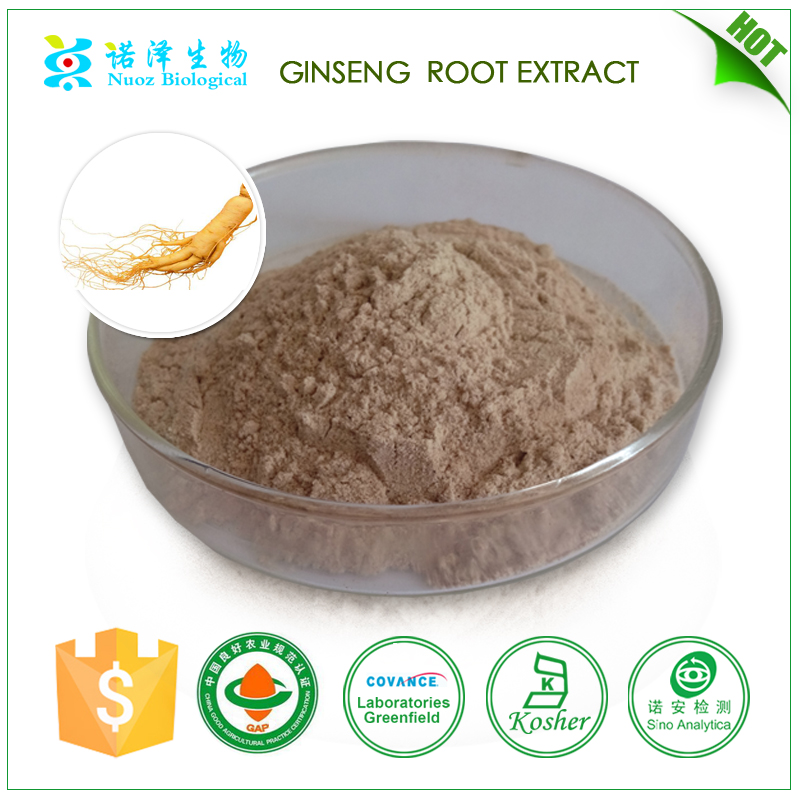 china supplier drinking powder korean red ginseng extract