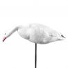 Buy cheap Soft Foam Goose Decoys / Folding Snow Goose Decoys For Hunting Or Garden from wholesalers