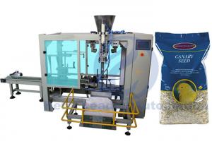 China Coarse Cereals Big Bag Packing Machine / 10 To 25 KG Poly Bag Packing Machine on sale