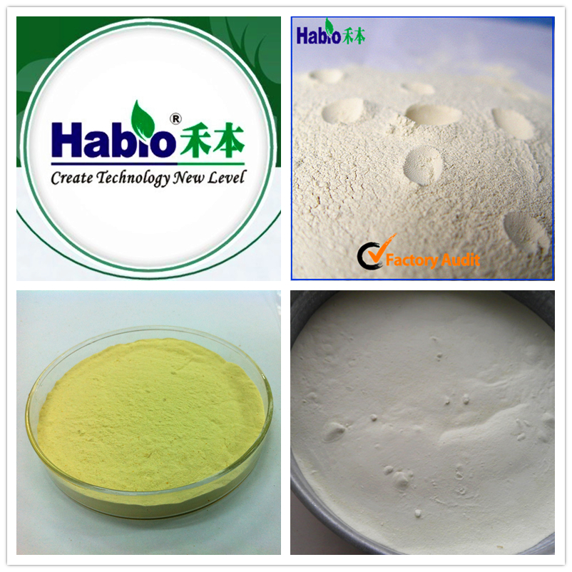 Best Habio fungal xylanase enzyme for flour wholesale