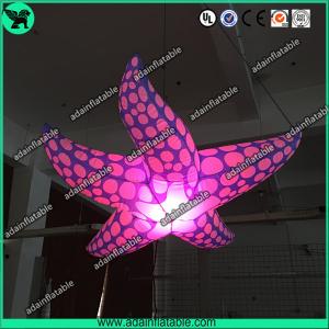 Best New Brand Event Decoration Lighting Blue Inflatable Starfish/Ocean Event Decoration wholesale