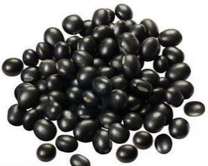 Best The best organic black beans in the country in 2016 wholesale