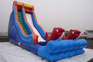 China Single Lane Fish Decorated Blow Up Water Slide PVC Swimming Pool for Sale on sale