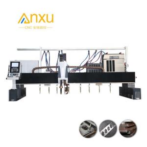 China Customized Automatic Oxy Fuel Cutting Machine Gantry CNC Gas Cutting Machine For Steel Strip on sale