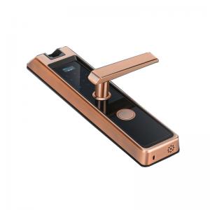 China Bilateral Optical Finger Vein Highly Secured Biometric Smart Recognition Door Lock on sale