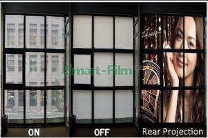 China Smart Bathroom Single Panel Tempered Glass Shower Door Bathroom Glass on sale