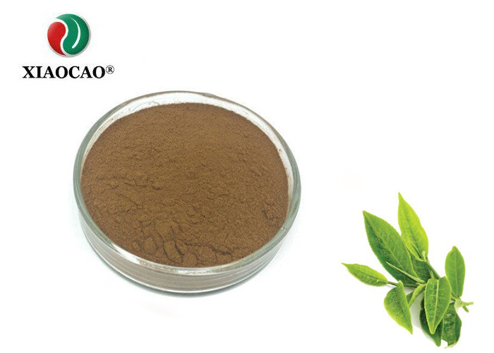 China Anti Aging Organic Green Tea Extract Powder Enhance Immune Function on sale