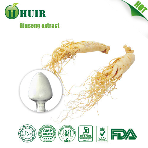 China Low pesticides 7% Korean red ginseng extract panax ginseng powder on sale