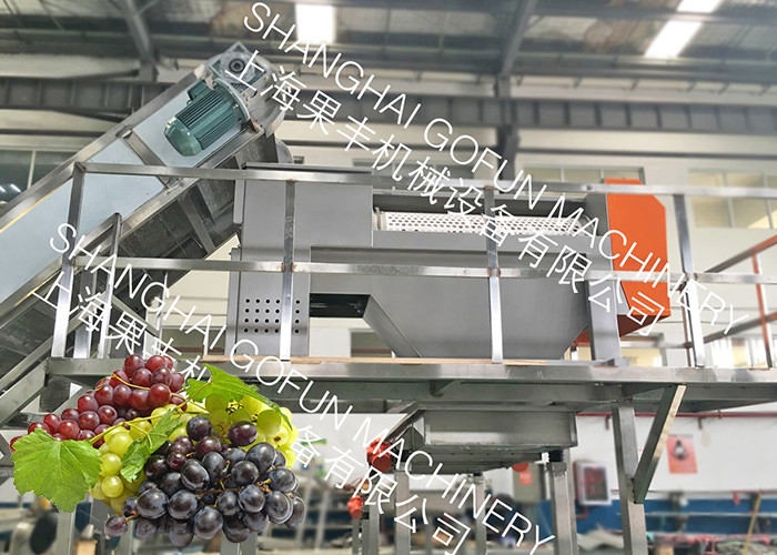Best 20 T/H Stable Grape Juice Processing Line Extractor Vacuum Pressing System wholesale