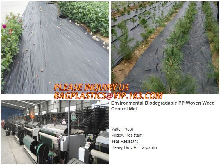 Best environmental biodegradable pp woven weed control mat, heavy dury pe tarpaulin,Woven Weed Barrier/Weed Control Fabric wholesale