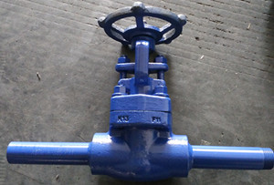 F11 Gate Valve with Nipples