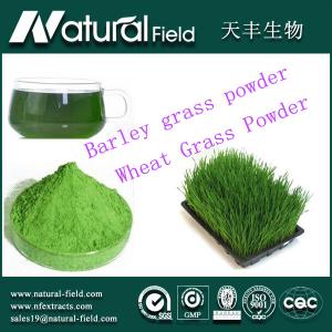 China losing weight organic wheat grass powder on sale