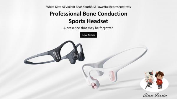 Ear Hook Bone Conduction Bluetooth Headphone Wireless