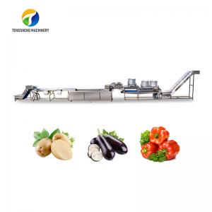 China 1500KG/H Fruit And Vegetable Processing Line cleaning Sorting Machine on sale