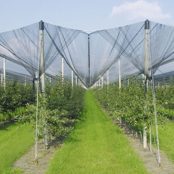 Best Anti-Hail Net for Trees,Garden,Vegetables and Fruit,3.6-5.0cm oepning,white,green,black wholesale