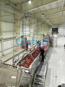 Best 3T/H Apple Processing Line For Juice Complete Plant Preheating wholesale