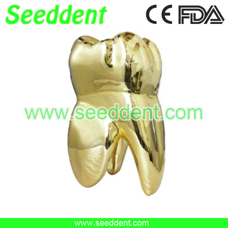 Best Gilded gold tooth wholesale