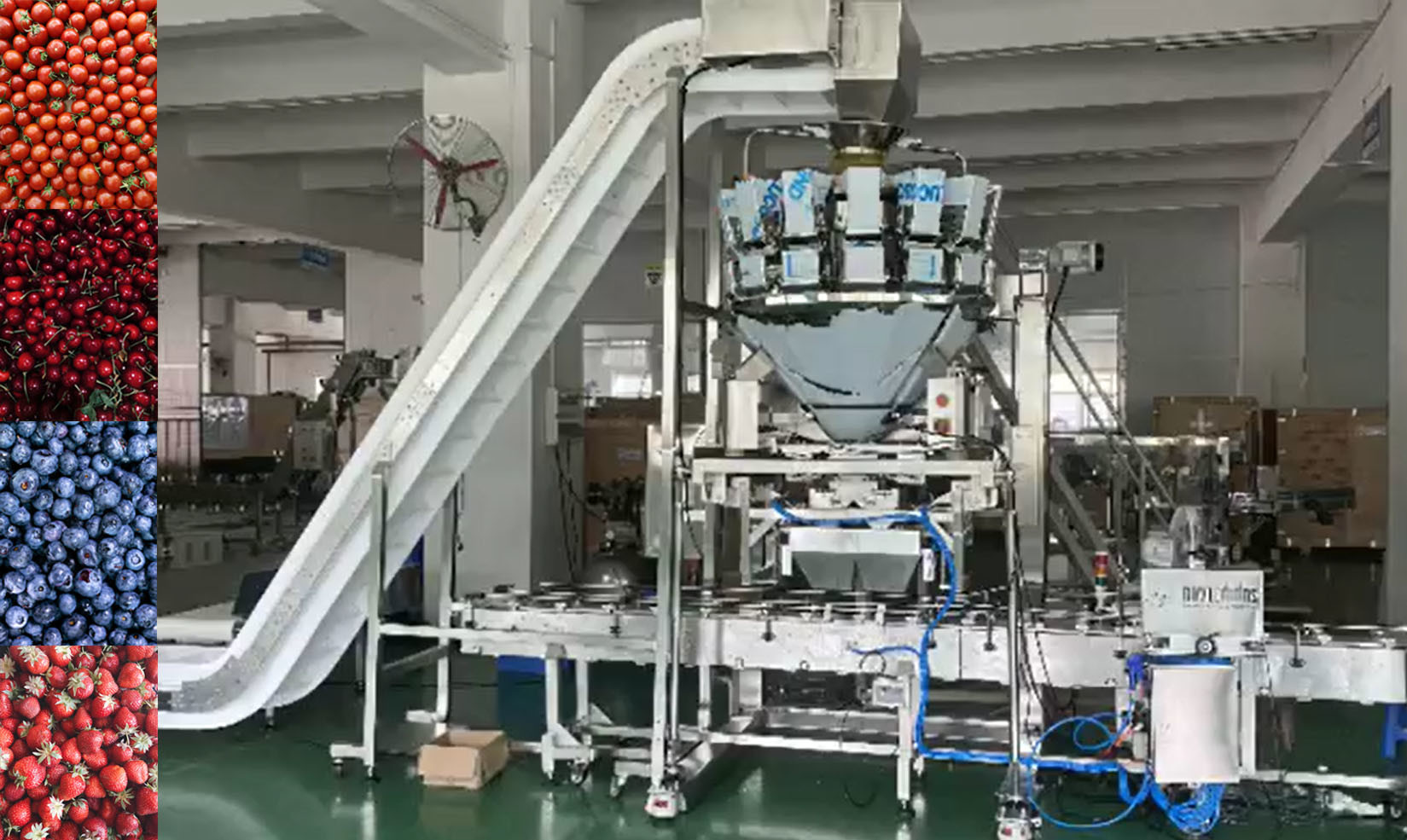 China SUS304 Multihead Weigher Auto Weighing And Packaging System For Cherry Frozen Fruits In Boxes on sale