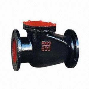 Best Cast Iron Check Valve with DIN2533 Flange Dimension and Graphite Cap Gasket wholesale