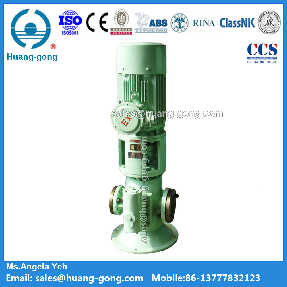 China Marine Vertical Main Engine Lube Oil Pump from Huanggong Machinery Group on sale