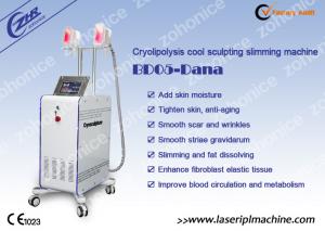 China Two Handles Cryolipolysis Fat Freezing Slimming Machine , Beauty Equipment on sale