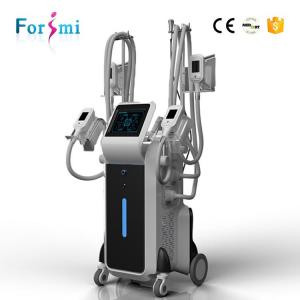China 10.4 inch touch screen freezing fat cells cost sculpting Cryolipolysis Fat freeze Slimming Machine on sale
