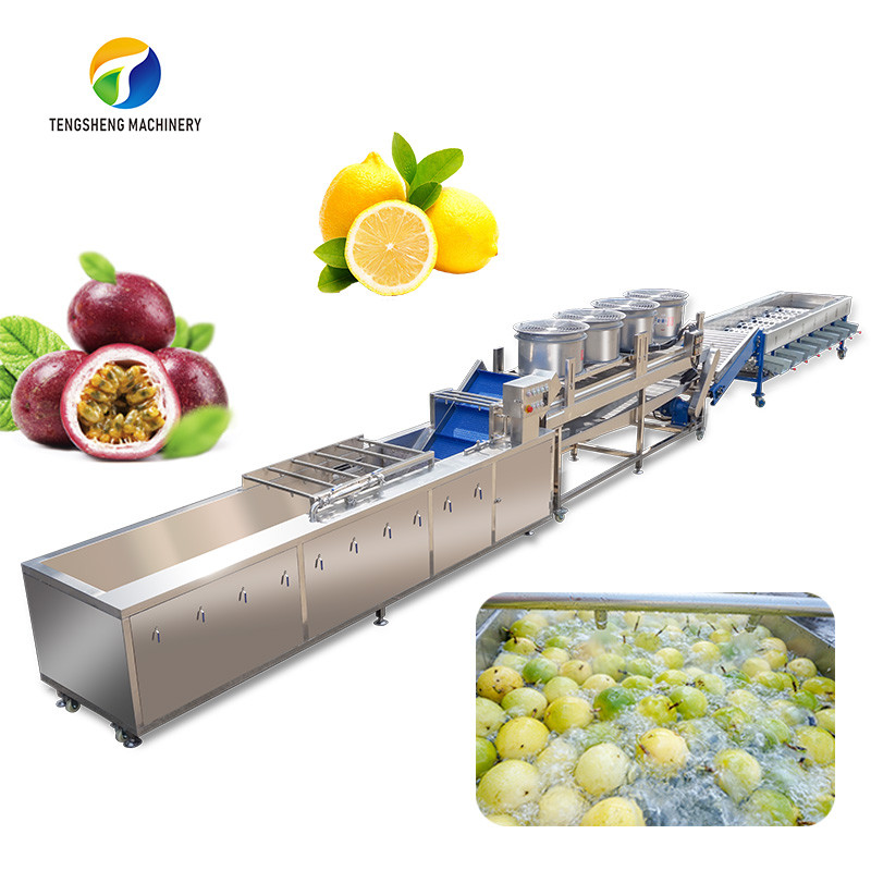 China Silvery Personalization Passion Fruit And Vegetable Processing Line Fruit Cleansing Drying on sale