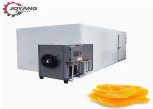 Best High Capacity Mangifera Indica Hot Air Drying Machine JY8P Model wholesale