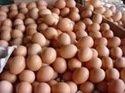 China Brown And  white  Shell  Eggs on sale
