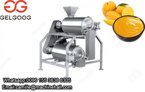 China High effective mango pulp making machine fruit pulp juice machine on sale