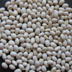 Best 2016 new crop white kidney beans/haricot for sale wholesale