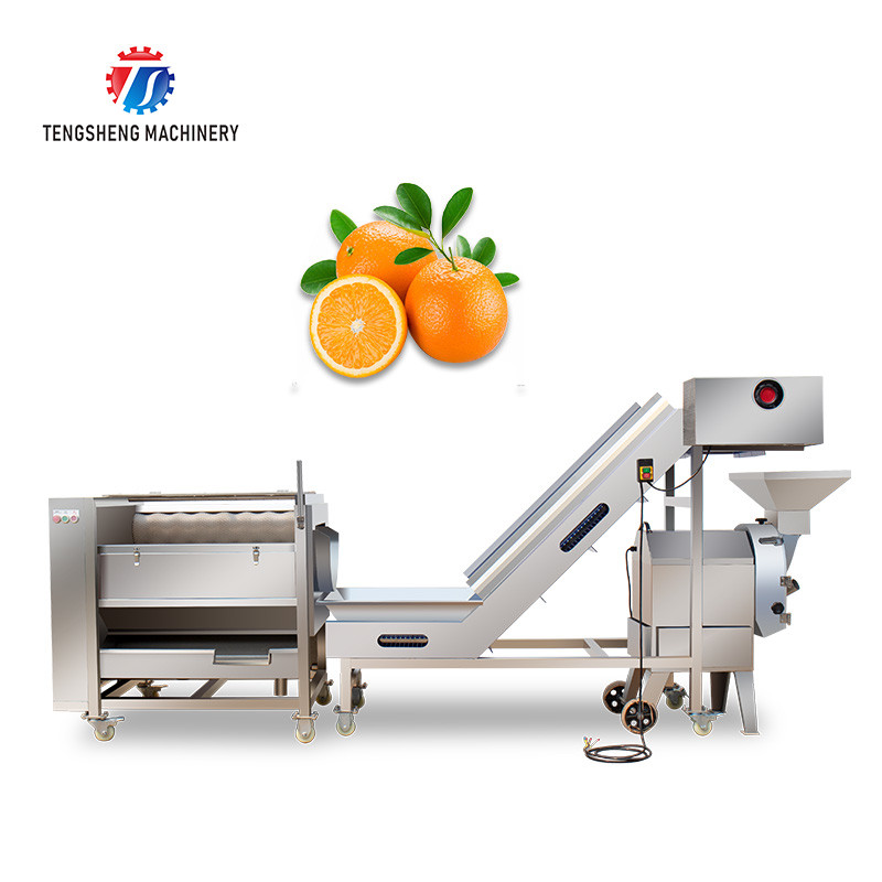 0.75KW 0.8 Tons / Hours Vegetable And Fruit Washing Machine
