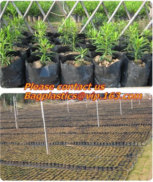 nonwoven Fabric Biodegradable Grow Bag/ grow pot, Felt Material and Grow Bags Type Planter Wall Grow Bag