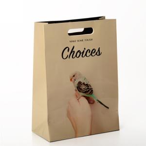 China Custom Printed Paper Bags Gift Packaging With Die Cut Patch Handle on sale