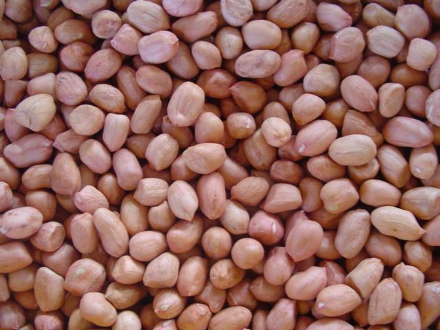 Best Peanut kernels wholesale